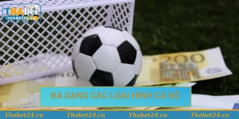 Thể thao Thabet có đa dạng các loại hình game cho bạn lựa chọn