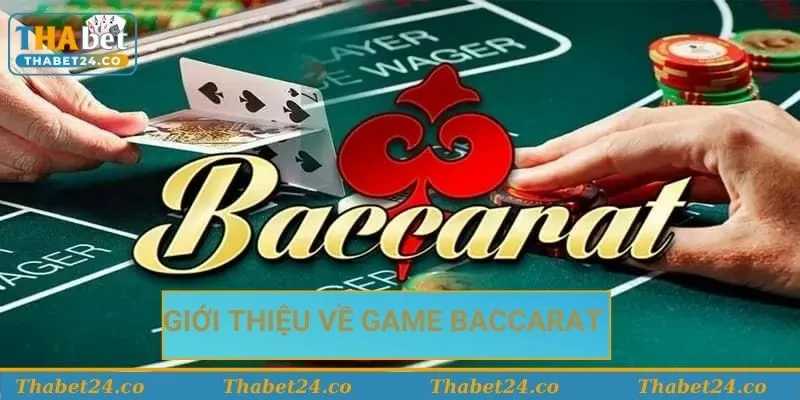 Hướng Dẫn Người Mới Chơi Baccarat Từng Bước Chi Tiết