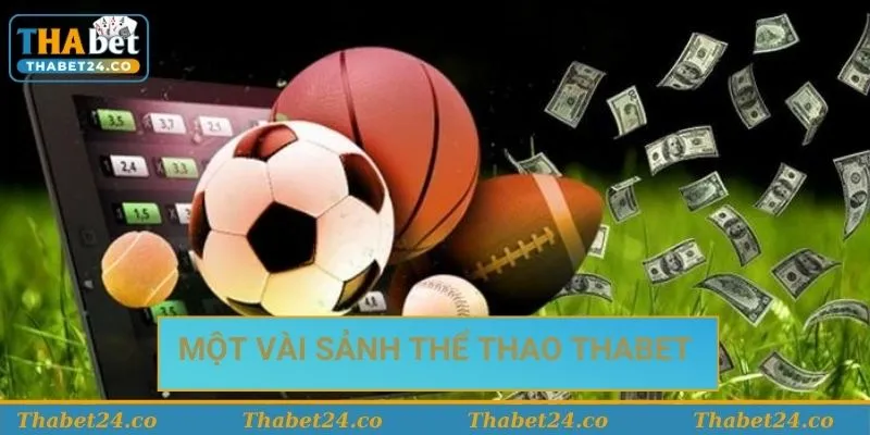 Các sảnh cược hấp dẫn có mặt tại Thabet