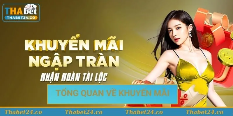 Thông Tin Khuyến Mãi Của Casino Thabet Mới Nhất 2025