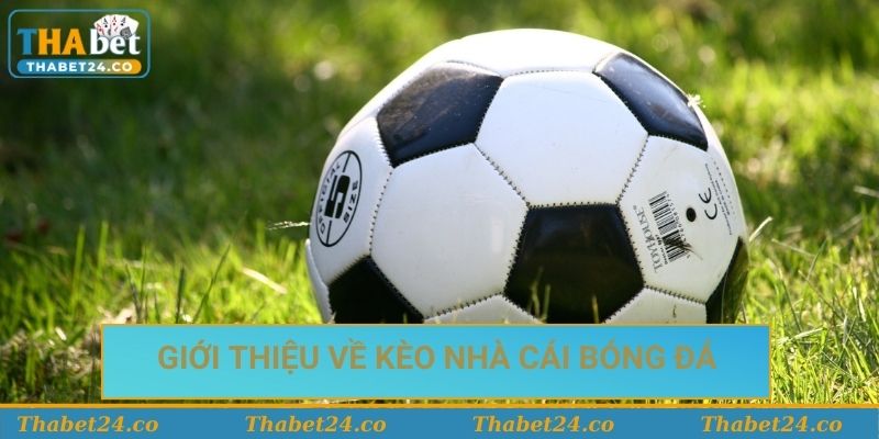 Giới thiệu thông tin về kèo nhà cái bóng đá