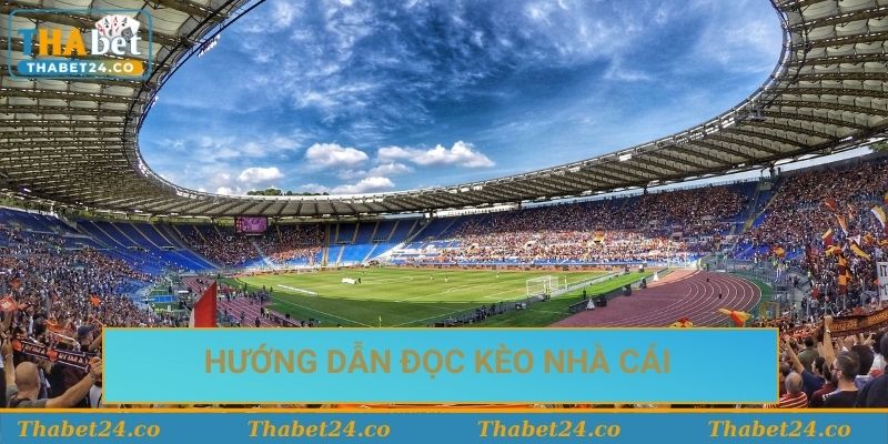 Hướng dẫn đọc kèo nhà cái cho người mới