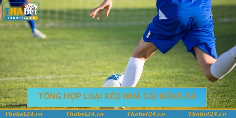 Tổng hợp loại kèo nhà cái bóng đá bạn cần biết