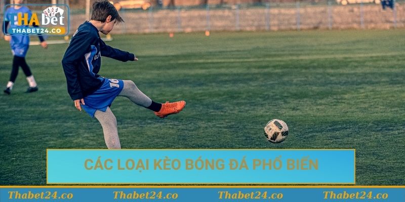 Các loại kèo bóng đá phổ biến mà người chơi cần biết