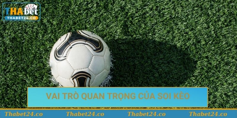 Vai trò quan trọng của soi kèo trong cá cược bóng đá