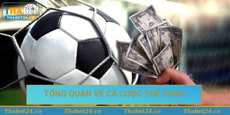 Khám phá hình thức cá cược thể thao trực tuyến Khám phá hình thức cá cược thể thao trực tuyến