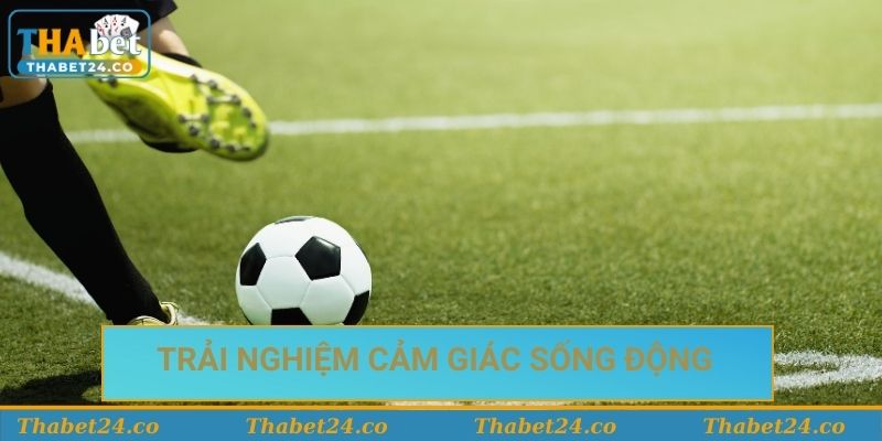 Trải nghiệm cảm giác sống động và hấp dẫn của trận đấu
