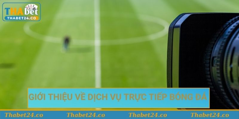 Giới thiệu về dịch vụ trực tiếp bóng đá tại Thabet